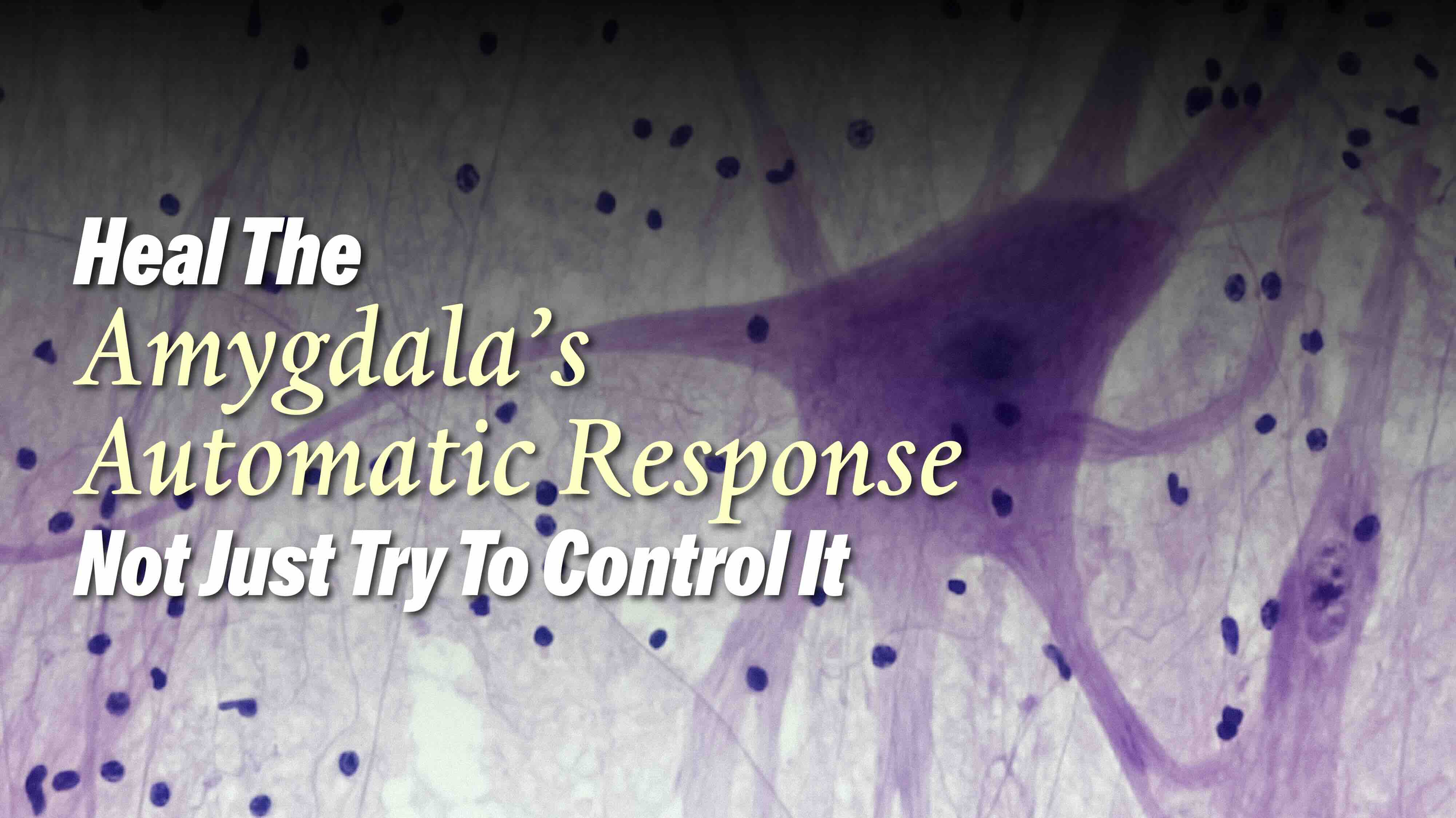 Heal the Amygdala’s Automatic Response Not Just Try to Control It