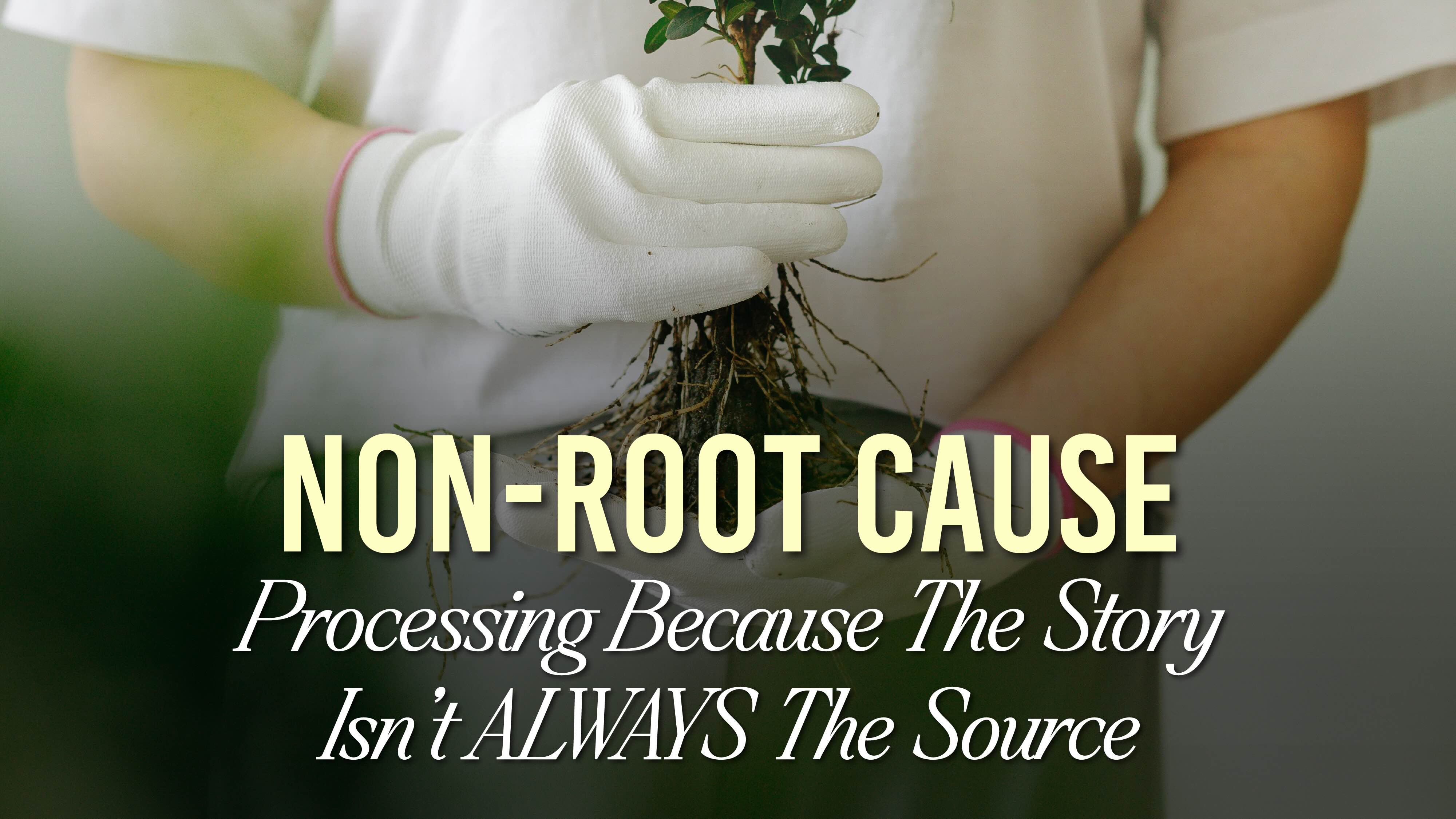 Non-Root Cause Processing Because the Story Isn’t Always the Source